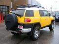 2010 FJ Cruiser 4WD #3