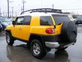 2010 FJ Cruiser 4WD #5