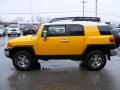 2010 FJ Cruiser 4WD #6