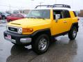 2010 FJ Cruiser 4WD #7