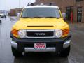 2010 FJ Cruiser 4WD #9