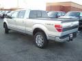  2010 Ford F150 Ingot Silver Metallic #3