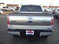 2010 F150 Platinum SuperCrew 4x4 #4