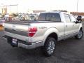 2010 F150 Platinum SuperCrew 4x4 #5