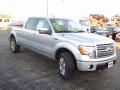 2010 F150 Platinum SuperCrew 4x4 #6