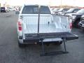  2010 Ford F150 Ingot Silver Metallic #8