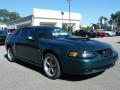 2002 Mustang GT Coupe #7 2002 Mustang GT Coupe #7