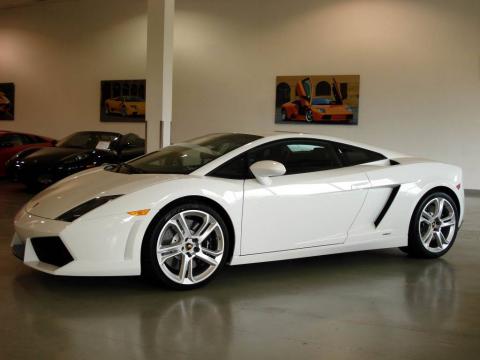  Lamborghini Gallardo White Pics