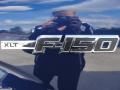  2010 Ford F150 Logo #12