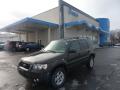2007 Escape XLT V6 4WD #1 2007 Escape XLT V6 4WD #1