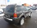 2007 Escape XLT V6 4WD #4 2007 Escape XLT V6 4WD #4