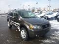 2007 Escape XLT V6 4WD #5 2007 Escape XLT V6 4WD #5