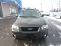 2007 Escape XLT V6 4WD #6 2007 Escape XLT V6 4WD #6