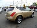 2003 Murano SL #6