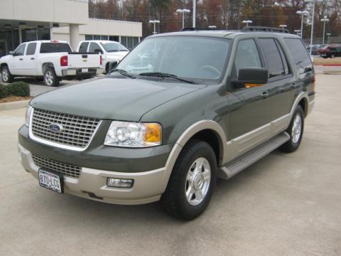 Estate Green Metallic Ford Expedition Eddie Bauer.  Click to enlarge.