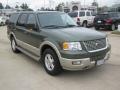 Front 3/4 View of 2005 Ford Expedition Eddie Bauer #7