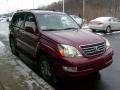 2008 GX 470 #6