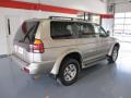 2001 Montero Sport Limited #4