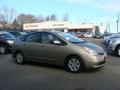 2007 Prius Hybrid #1