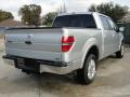  2010 Ford F150 Ingot Silver Metallic #3