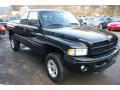 2001 Ram 1500 Sport Club Cab 4x4 #17