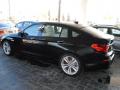  2010 BMW 5 Series Jet Black #10