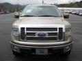 2011 F150 Lariat SuperCrew 4x4 #3