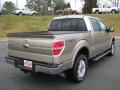  2011 Ford F150 Pale Adobe Metallic #6