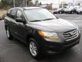  2011 Hyundai Santa Fe Espresso Brown #4