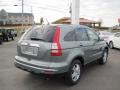 2011 CR-V EX-L #5 2011 CR-V EX-L #5