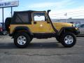  2003 Jeep Wrangler Inca Gold Metallic #4