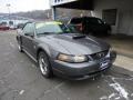 2004 Mustang GT Convertible #3