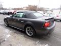 2004 Mustang GT Convertible #7