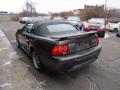 2004 Mustang GT Convertible #8
