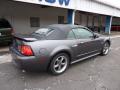 2004 Mustang GT Convertible #10