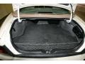  2004 Buick Park Avenue Trunk #17