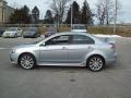  2009 Mitsubishi Lancer Apex Silver Metallic #13
