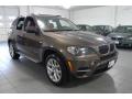  2011 BMW X5 Sparkling Bronze Metallic #9