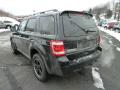 2010 Escape XLT V6 Sport Package 4WD #4