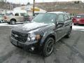 2010 Escape XLT V6 Sport Package 4WD #5