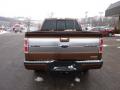  2011 Ford F150 Golden Bronze Metallic #3