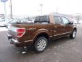  2011 Ford F150 Golden Bronze Metallic #4