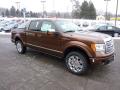  2011 Ford F150 Golden Bronze Metallic #6