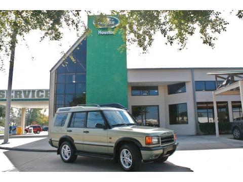 Vienna Green Pearl Land Rover Discovery II SE.  Click to enlarge.