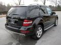 2009 ML 320 BlueTec 4Matic #4