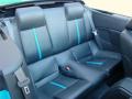2010 Mustang GT Premium Convertible #14