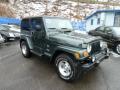 Front 3/4 View of 2003 Jeep Wrangler Sahara 4x4 #7