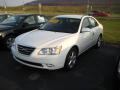 2009 Sonata SE V6 #1 2009 Sonata SE V6 #1