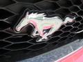 2008 Mustang Saleen Heritage 302 #3