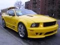 2006 Mustang Saleen S281 Supercharged Coupe #3 2006 Mustang Saleen S281 Supercharged Coupe #3